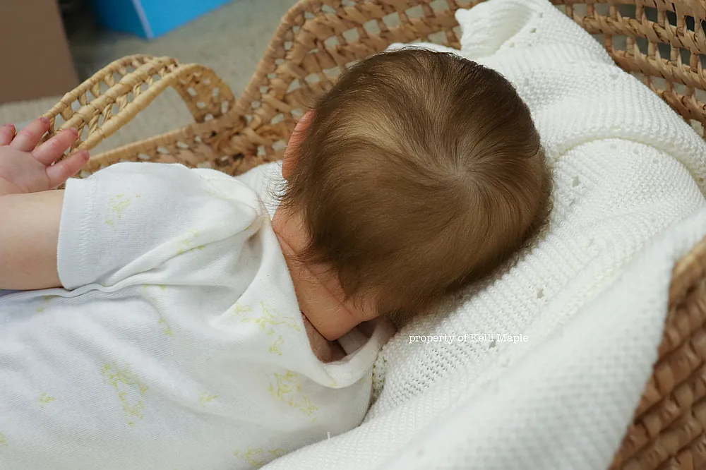 Ellie prototype reborn baby doll rooted mohair hair close up